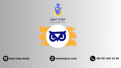 جامعة معمار سنان للفنون الجميلة